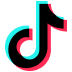 image icon tiktok